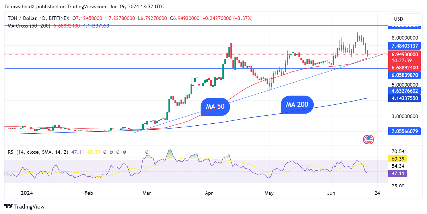 Toncoin (TON) 376٪ در فعالیت نهنگ افزایش یافت. چه خبر است؟