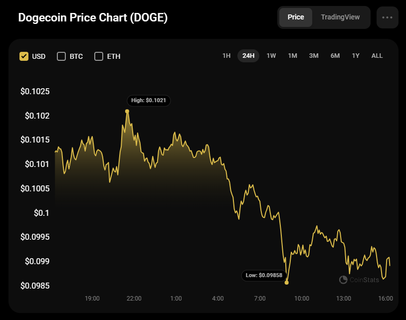 پیش بینی DOGE برای 1 سپتامبر