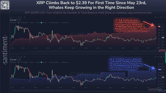 قیمت XRP به 7 هفته بالا ، دو سیگنال مهم برای تماشای