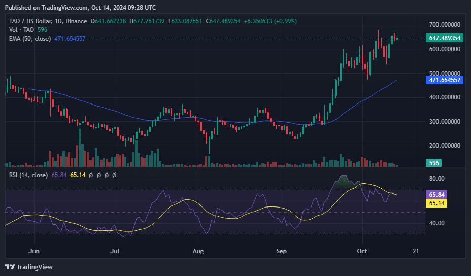 TAO 106% در 30 روز افزایش یافت، تحلیلگران انتظار دارند که رالی ادامه یابد