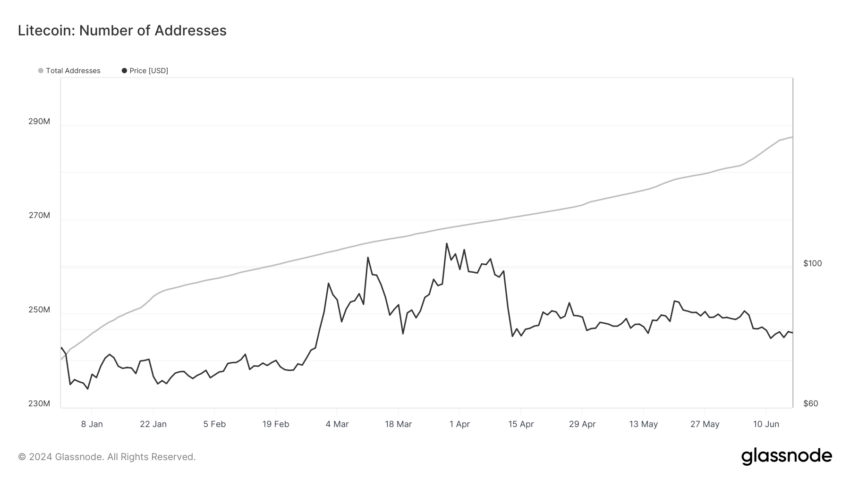 Litecoin: تعداد آدرس ها. منبع: Glassnode