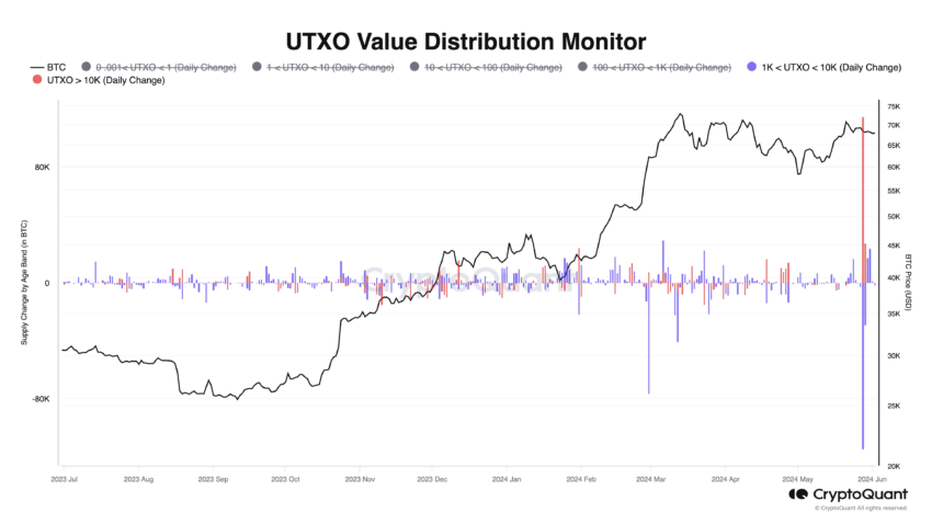 بیت کوین: نظارت بر توزیع ارزش UTXO. منبع: CryptoQuant