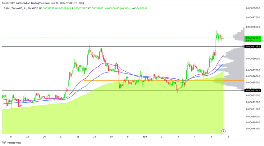 تحلیل قیمت 1 ساعته Floki: TradingView