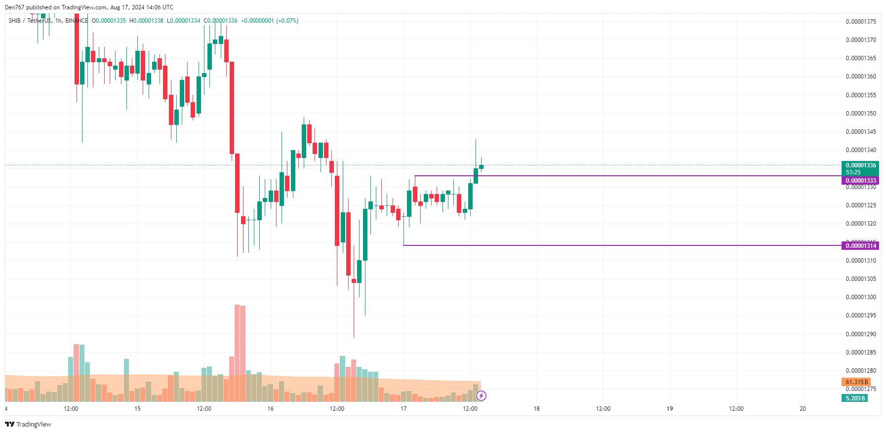 پیش بینی SHIB برای 17 آگوست