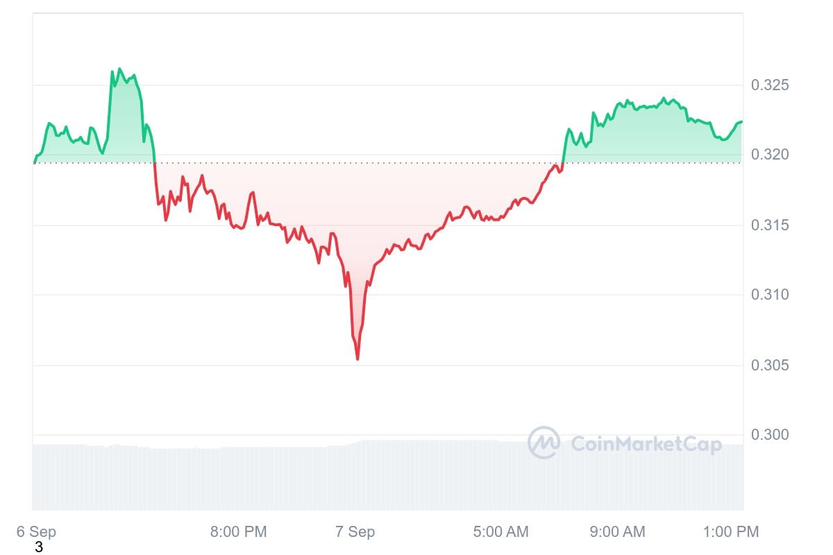 Cardano (ADA) فقط در معاملات روزانه به بالاترین حد خود رسید