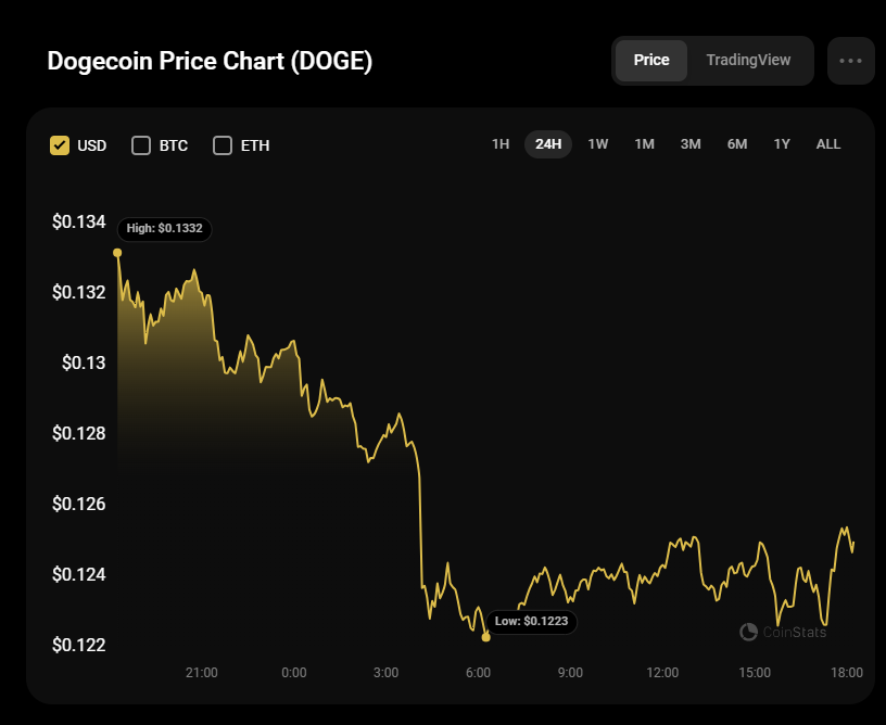 پیش بینی DOGE برای 25 جولای